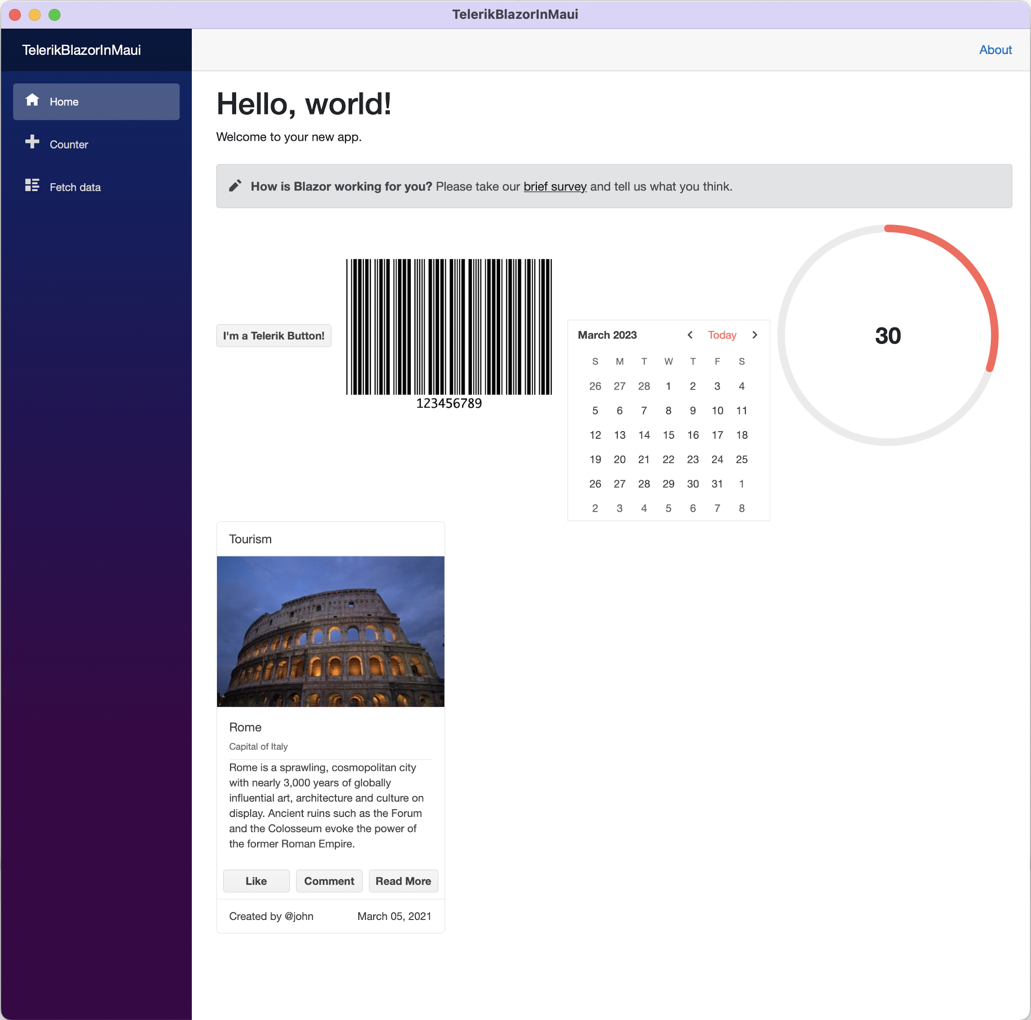 TelerikBlazorInMaui app is running on desktop