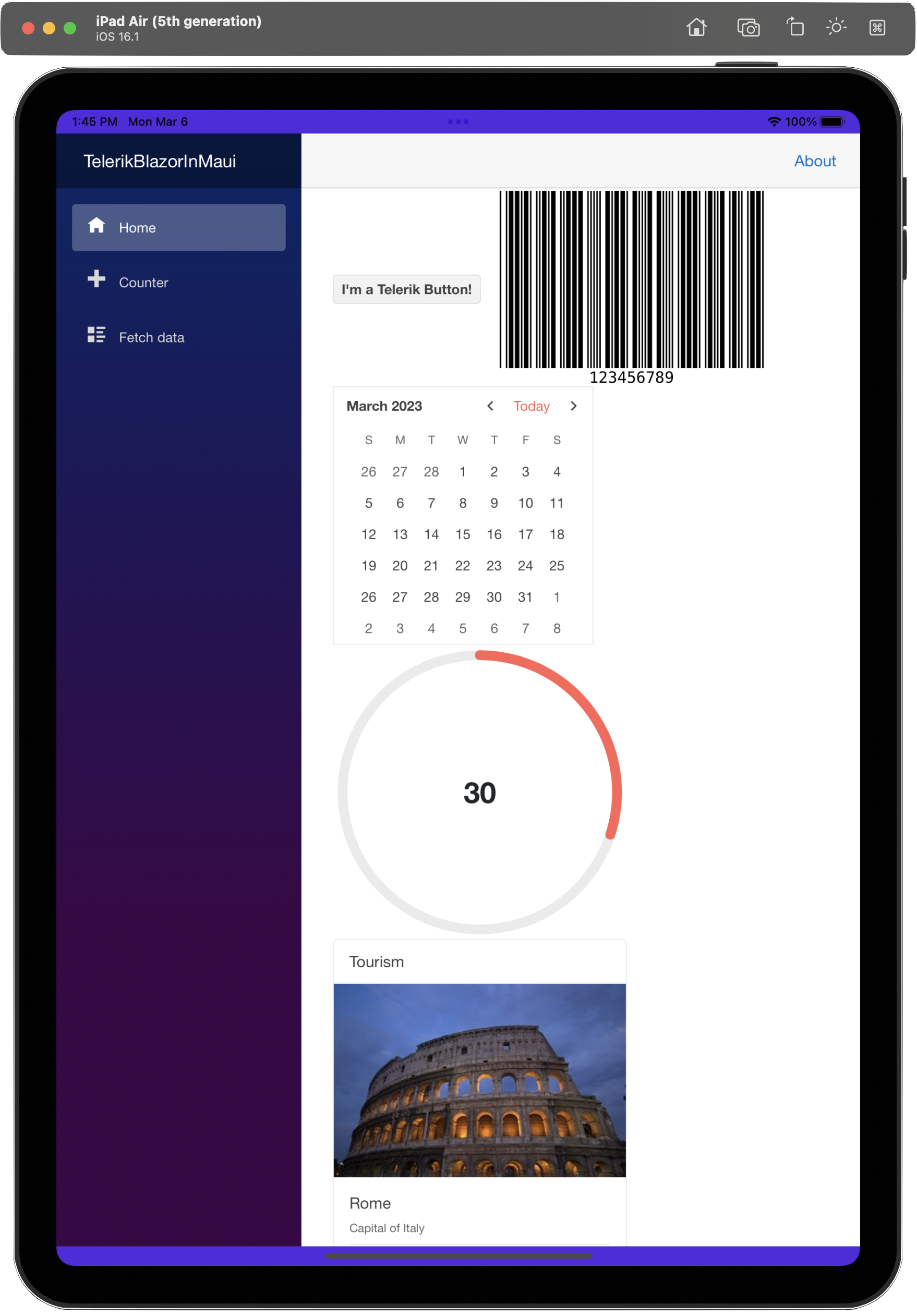 TelerikBlazorInMaui app on iPad Air