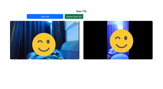 Image showing successful video chat Image showing successful video chat