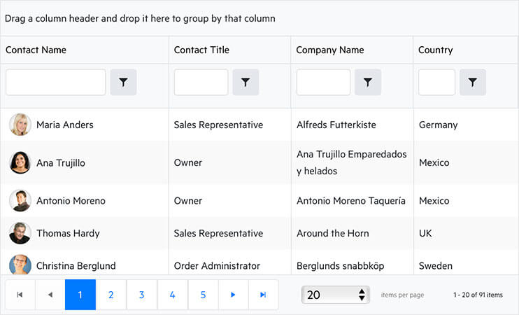 Kendo UI for Angular Grid Kendo UI for Angular Grid